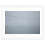 Flying seagulls in the winter sky thumbnail