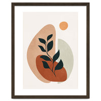 Soft Shapes II
