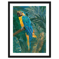Macaw in the jungle