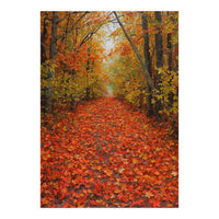 Lush Autumn Forest Path Covered (Print Only)
