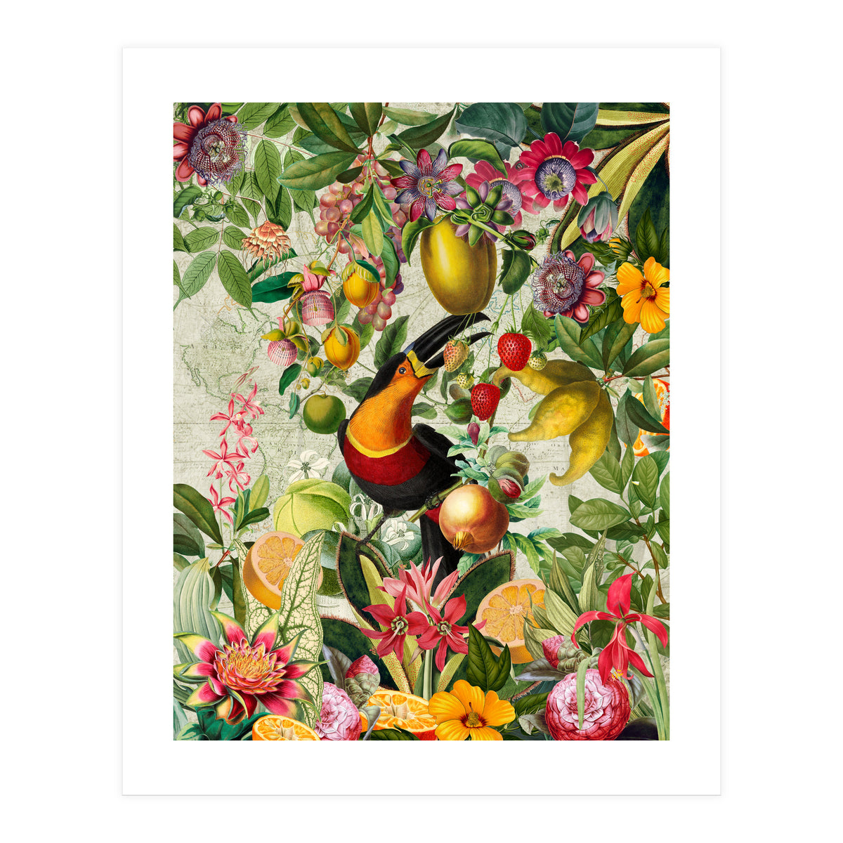 Toucan vintage jungle 1 (Print Only)