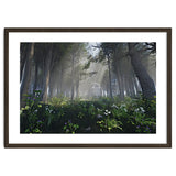 Art In The Forest thumbnail