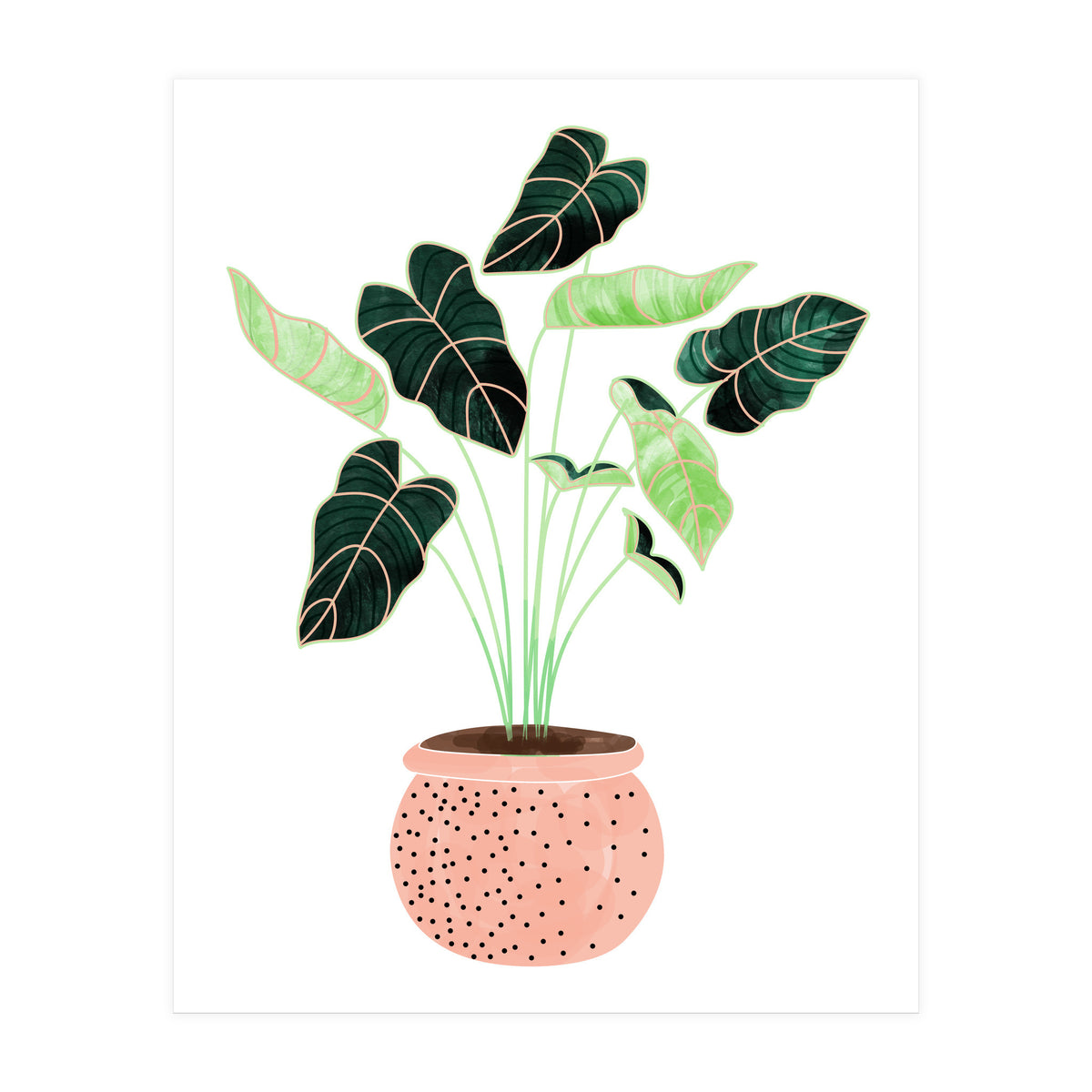 Home Plant | Ceramic Botanical Planter Illustration | Minimal Bohemian Watercolor Painting Polka Dot (Print Only)