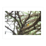 Mini sun (Print Only) thumbnail