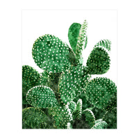 Velvet Cactus | Watercolor Botanical Plants | Minimal Boho Scandinavian Painting (Print Only)