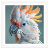 Salmon Crested Cockatoo Close Up Portrait thumbnail