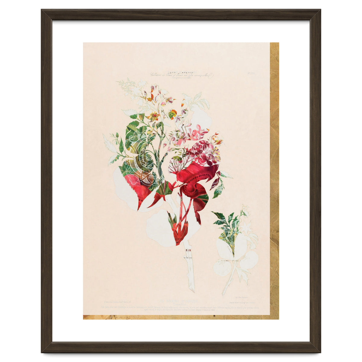 The First Plant · Aufbluehen