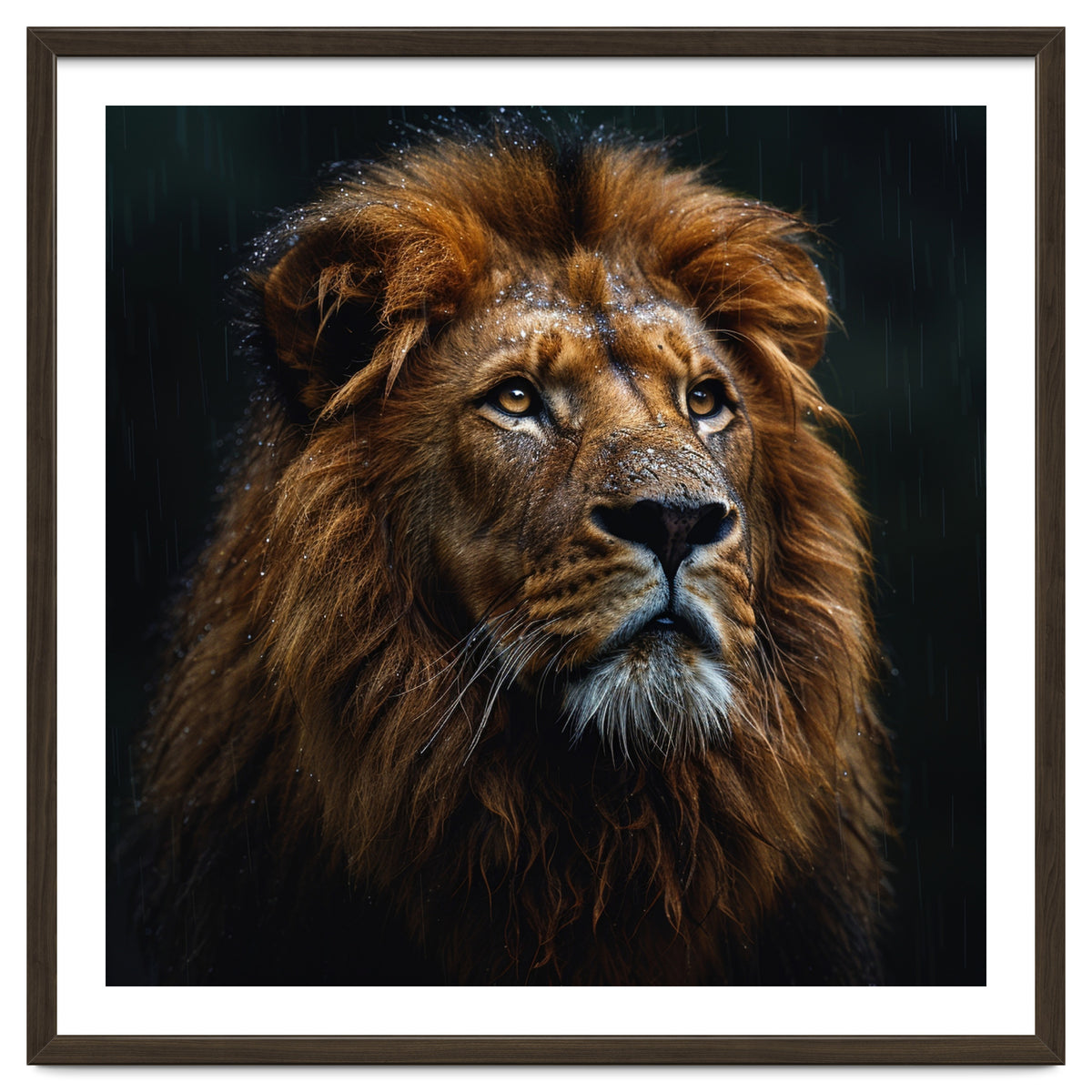 Majestic Lion Portrait In Gentle Rain