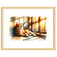 Cat Relaxing In Sunlight