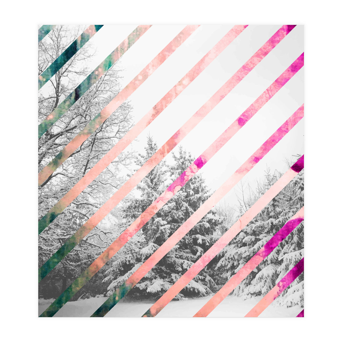 Snow Angel (Print Only)