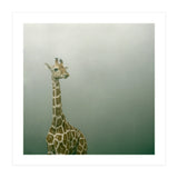 Silence of breath - 08 (Print Only) thumbnail