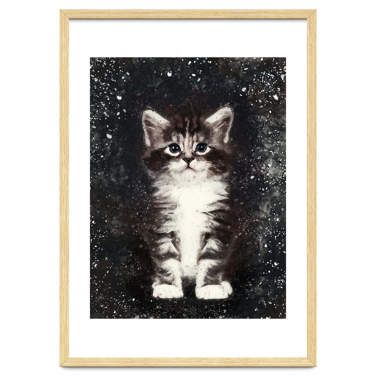 Bicolor Cute Kitten Portrait