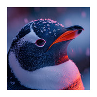 Close Up Penguin With Snowflakes On Head (Print Only)