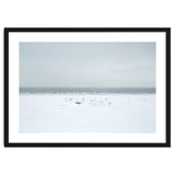Seagulls in the Snow beach thumbnail
