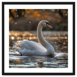 Graceful Swan Gliding On Reflective Water Surface thumbnail