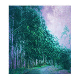 Magical Path (Print Only) thumbnail