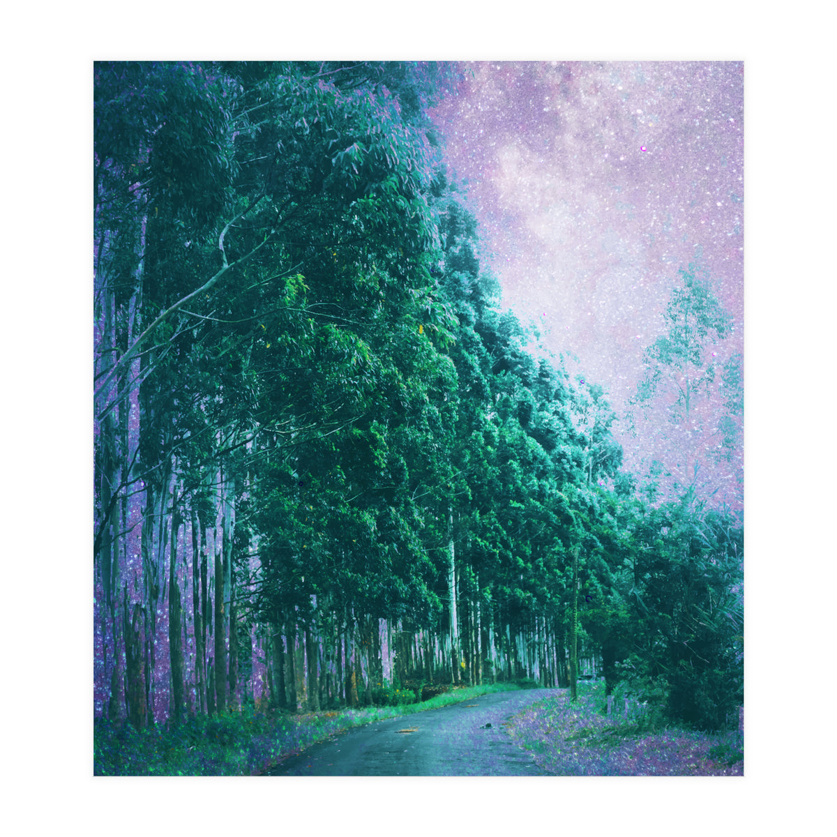 Magical Path (Print Only)