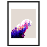 Macaw thumbnail