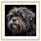 Old Dog 02 thumbnail