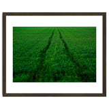 Track and Field thumbnail