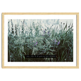 Photography - Summer Garden thumbnail