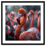 Beautiful Close Up Of A Pink Flamingo Bird thumbnail
