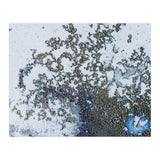 Coral Rising (Print Only) thumbnail