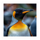 King Penguin With Water Droplets On Its Head (Print Only) thumbnail