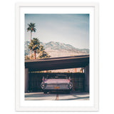Palm Springs Pink thumbnail