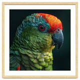 Close Up Colorful Parrot Bird Feather thumbnail