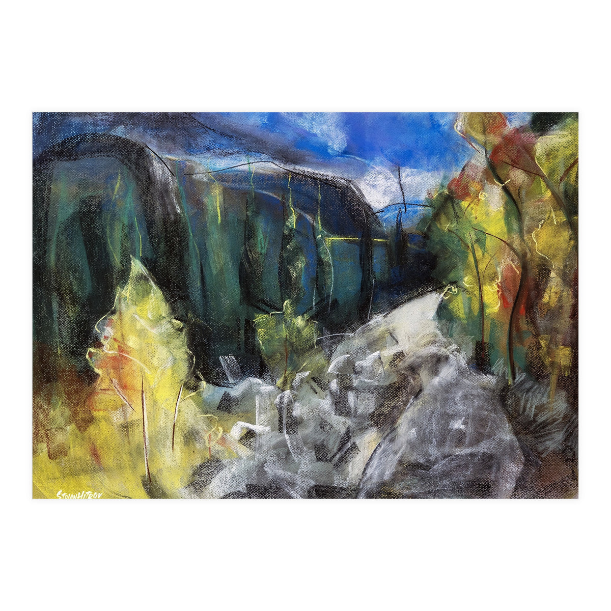 The Forest of Rila Mountain (Print Only)