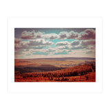 Dartmoor Forest (Print Only) thumbnail