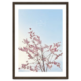 Sakura - cherry blossom thumbnail