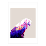 Macaw (Print Only) thumbnail