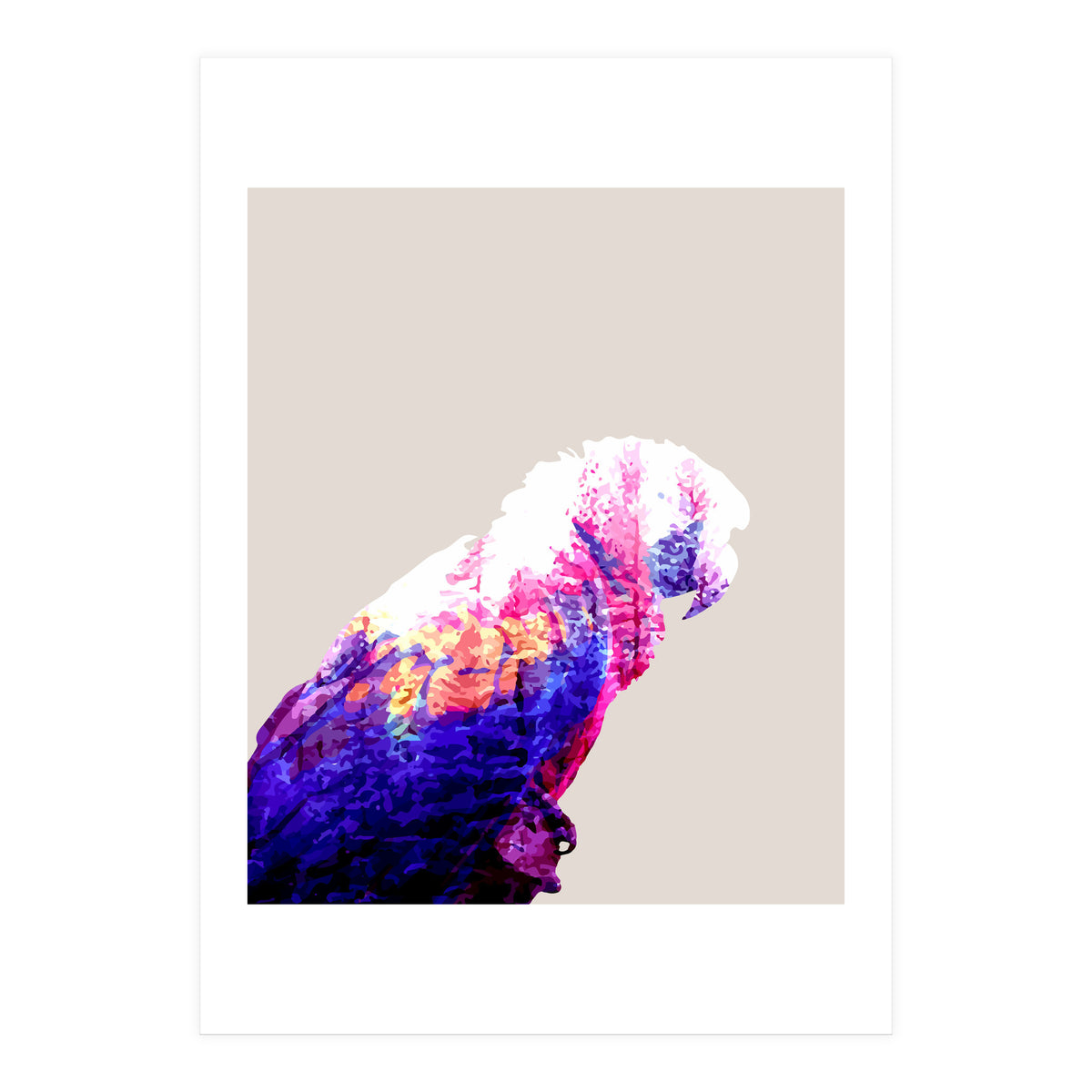 Macaw (Print Only)