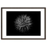 Backyard Flowers In Black And White No 20 Flow Version with Border thumbnail