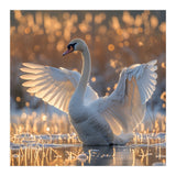 Swan Spreading Wings In Water Sunlight (Print Only) thumbnail