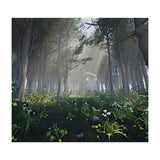 Art In The Forest (Print Only) thumbnail