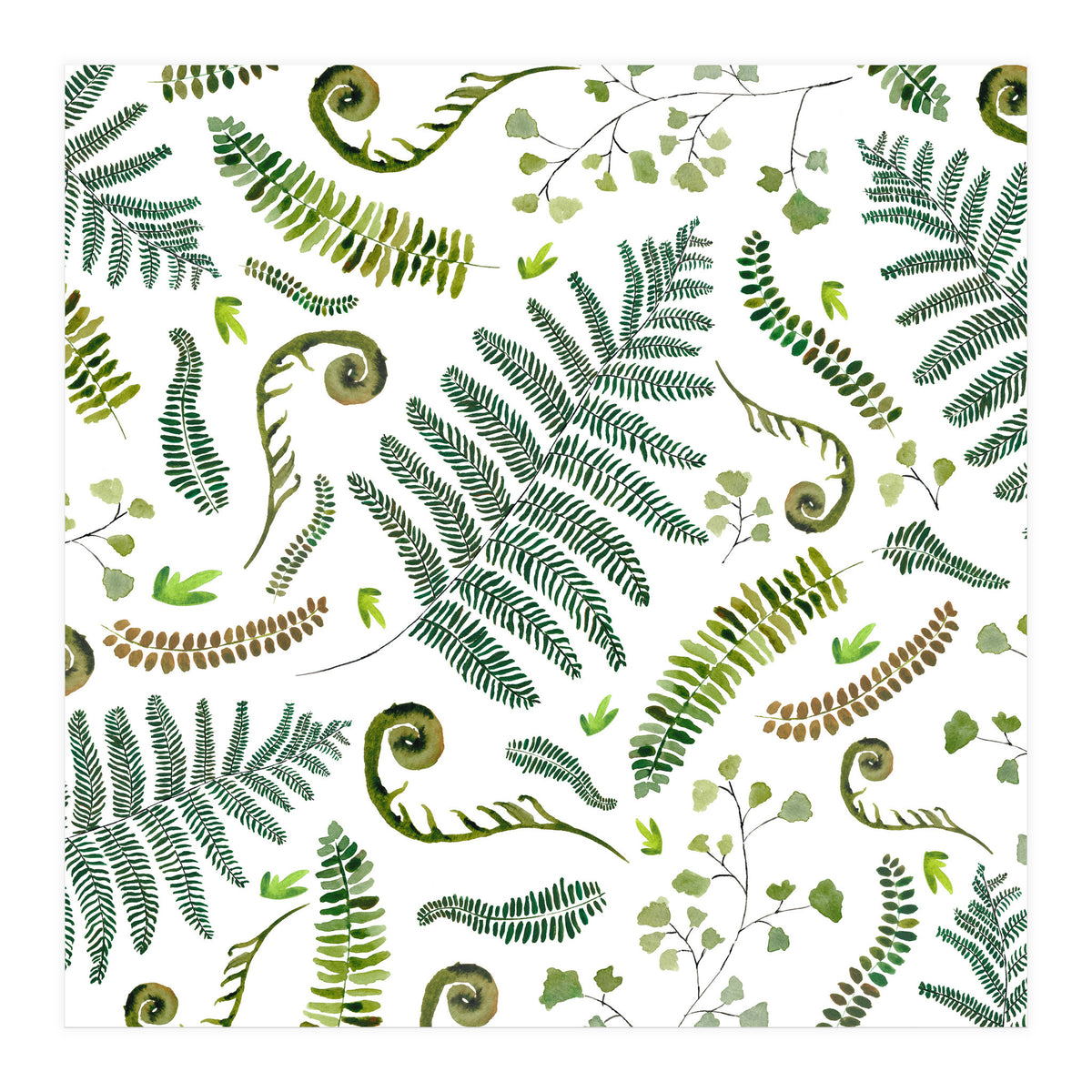 Spring Fern Pattern (Print Only)