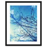 Winter thumbnail
