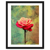 A Vibrant Red Rose thumbnail
