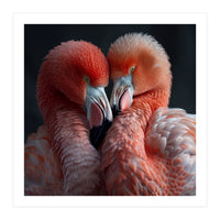 Two Flamingos Together Showing Affection (Print Only)