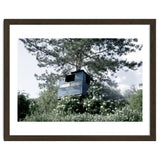 Blue hut on the tree thumbnail