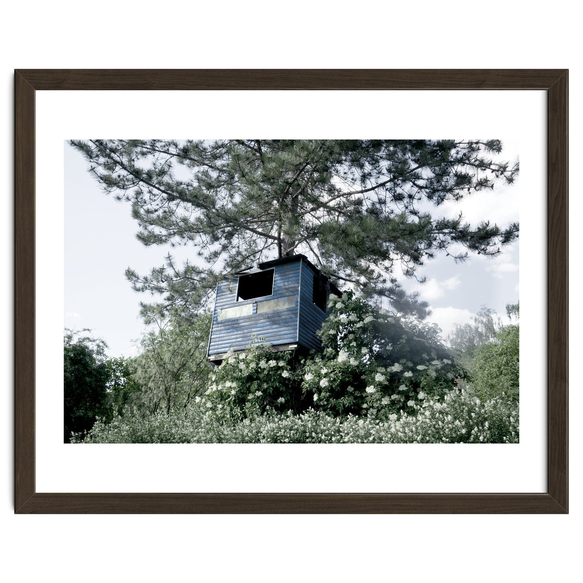 Blue hut on the tree