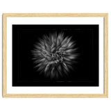 Backyard Flowers In Black And White No 20 Flow Version with Border thumbnail