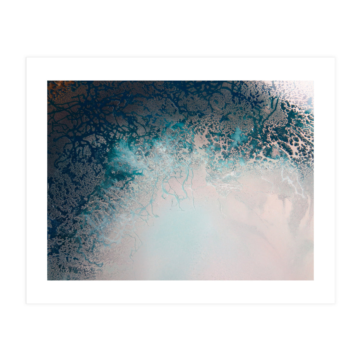 Flourish (Print Only)