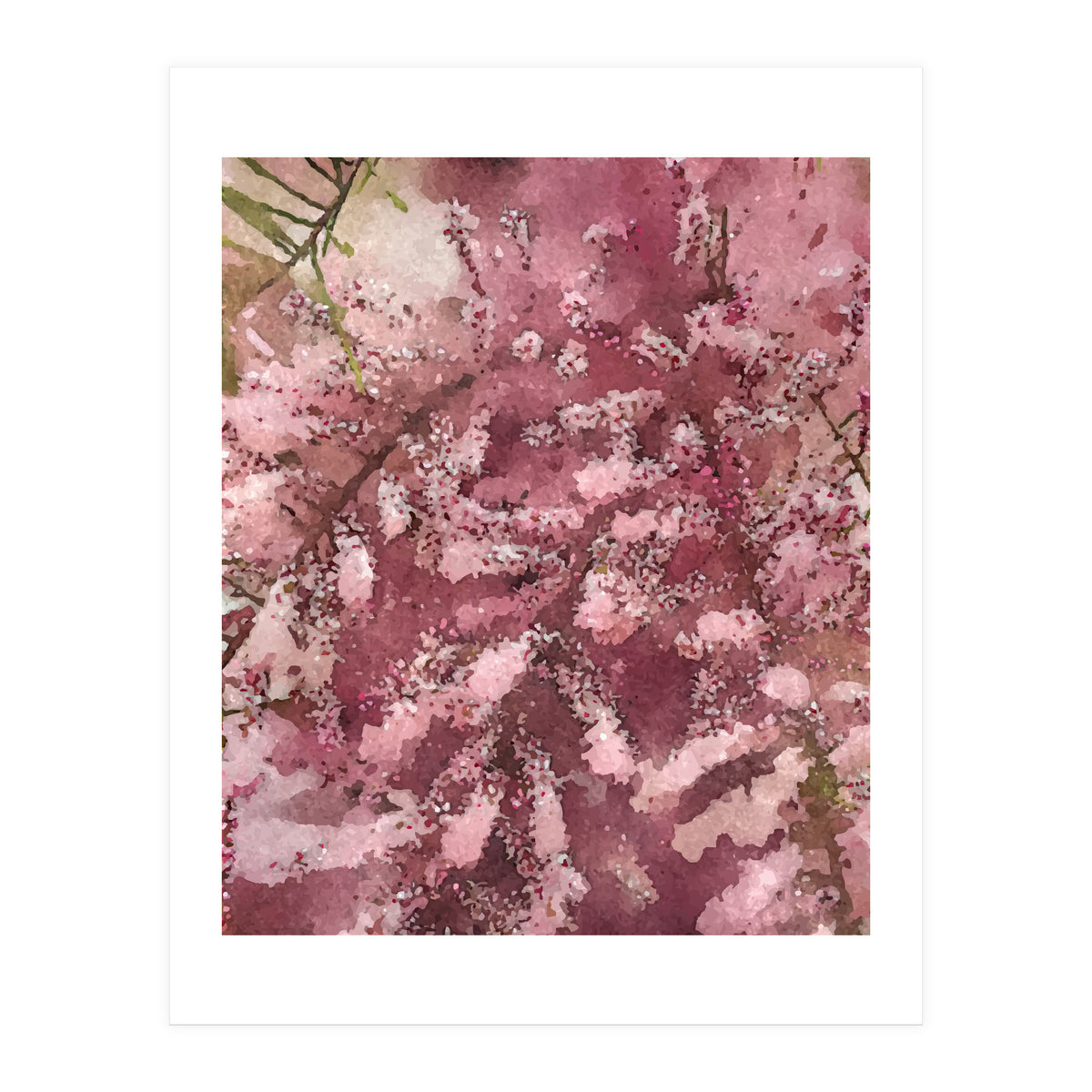 Pink Blossom (Print Only)
