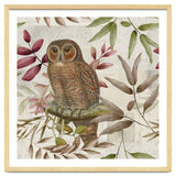 Autumn Owl thumbnail