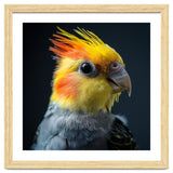Cockatiel Parrot Bird Head thumbnail