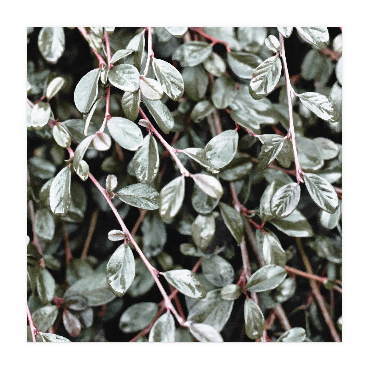 Rain #society6 #decor #buyart (Print Only)